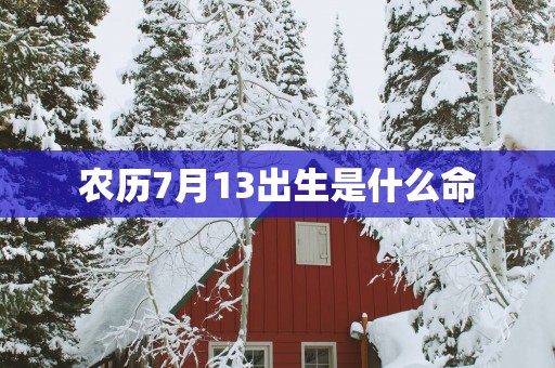 农历7月13出生是什么命