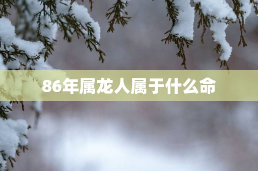 86年属龙人属于什么命