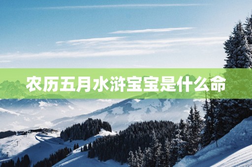 农历五月水浒宝宝是什么命