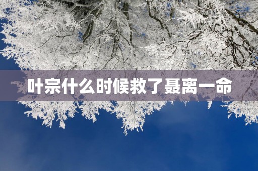 叶宗什么时候救了聂离一命