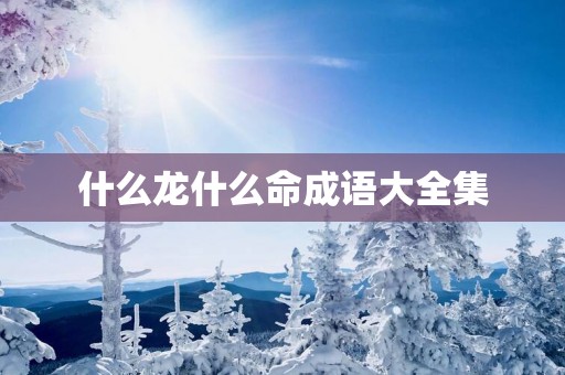 什么龙什么命成语大全集
