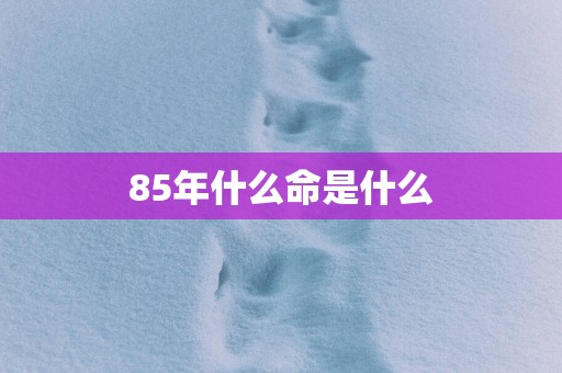85年什么命是什么