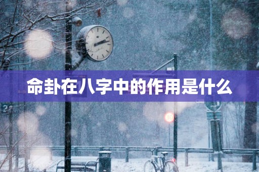 命卦在八字中的作用是什么