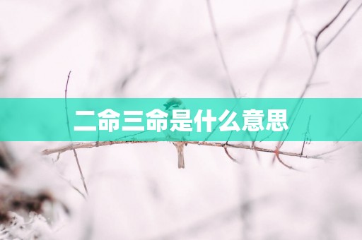 二命三命是什么意思