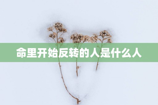 命里开始反转的人是什么人