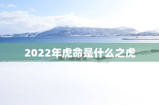 2025年虎命是什么之虎