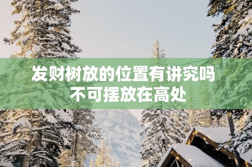 发财树放的位置有讲究吗  不可摆放在高处