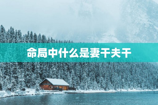 命局中什么是妻干夫干