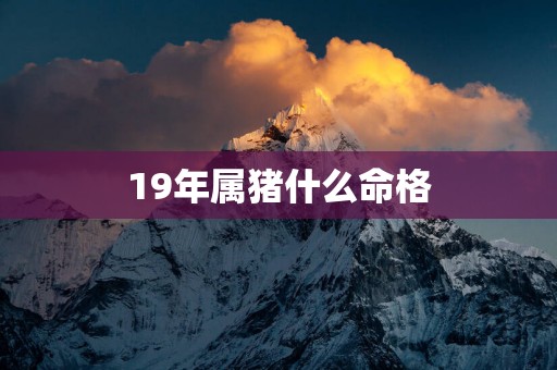 19年属猪什么命格