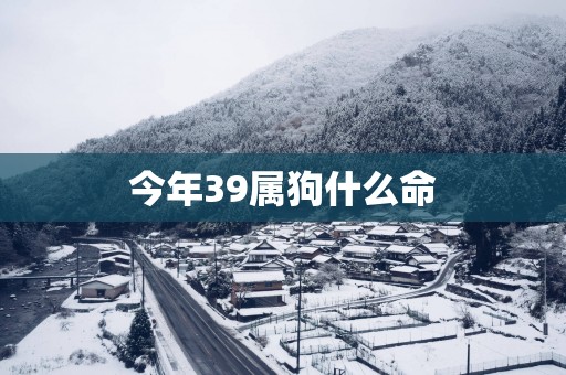 今年39属狗什么命