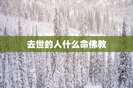 去世的人什么命佛教