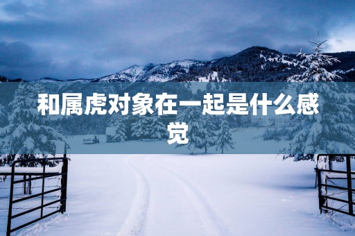 和属虎对象在一起是什么感觉