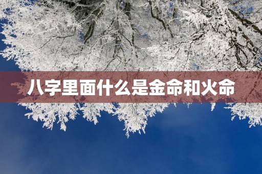 八字里面什么是金命和火命