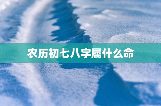 农历初七八字属什么命