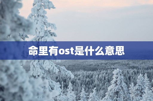 命里有ost是什么意思