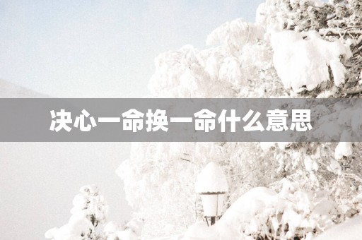 决心一命换一命什么意思