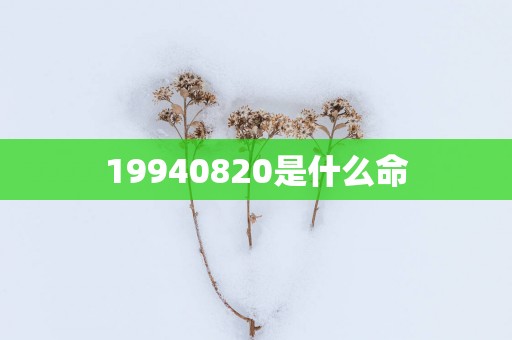 19940820是什么命
