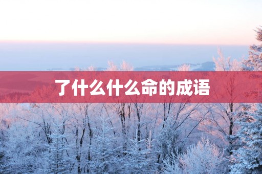 了什么什么命的成语