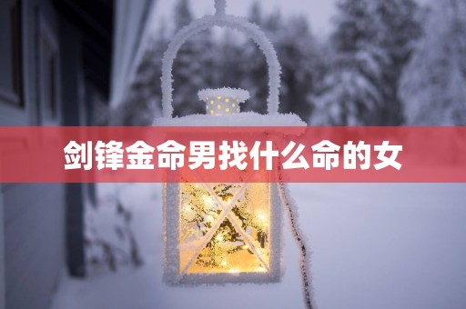 剑锋金命男找什么命的女