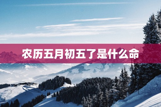 农历五月初五了是什么命