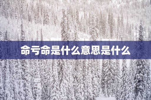 命亏命是什么意思是什么