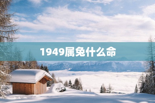 1949属兔什么命