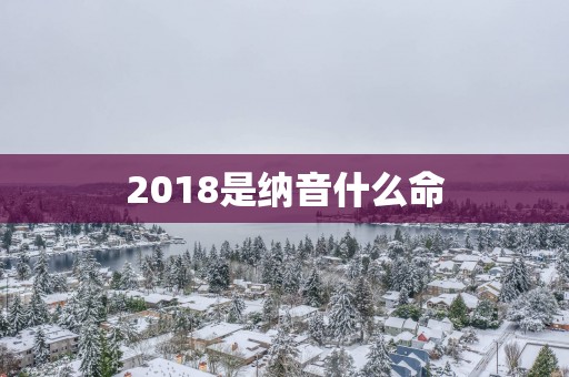 2018是纳音什么命