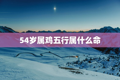 54岁属鸡五行属什么命