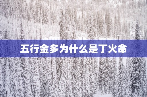 五行金多为什么是丁火命