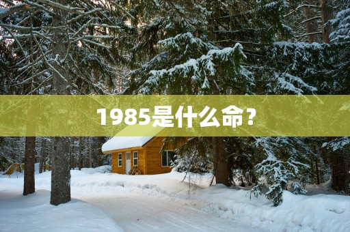 1985是什么命？