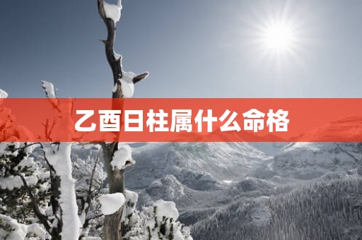 乙酉日柱属什么命格