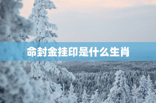 命封金挂印是什么生肖