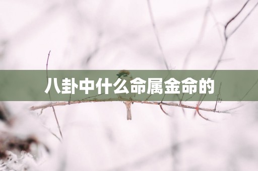 八卦中什么命属金命的
