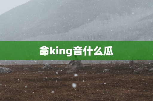 命king音什么瓜