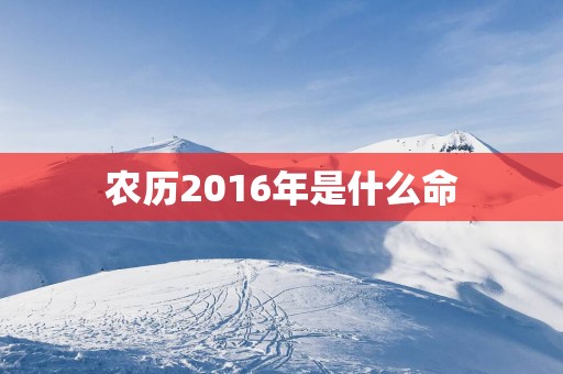 农历2016年是什么命