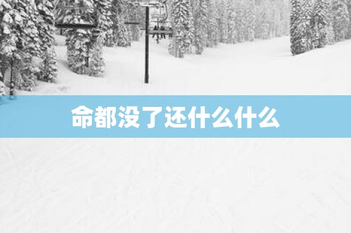 命都没了还什么什么