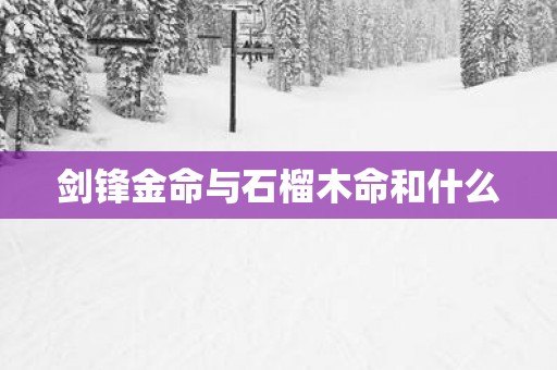 剑锋金命与石榴木命和什么