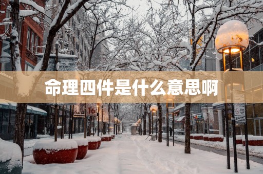 命理四件是什么意思啊