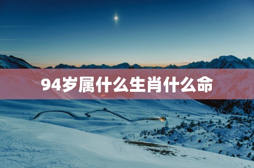94岁属什么生肖什么命