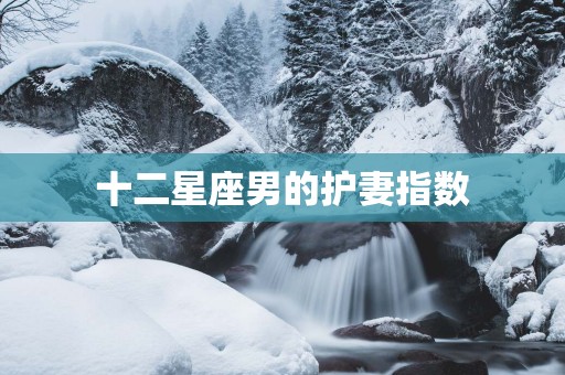 十二星座男的护妻指数