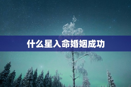 什么星入命婚姻成功