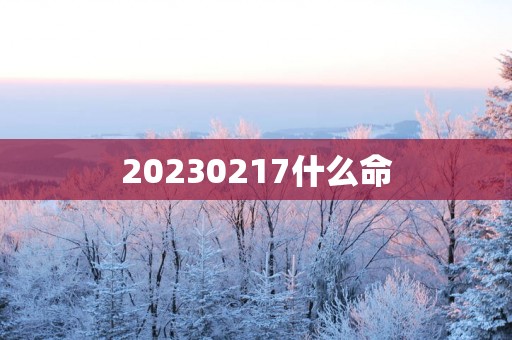 20250217什么命