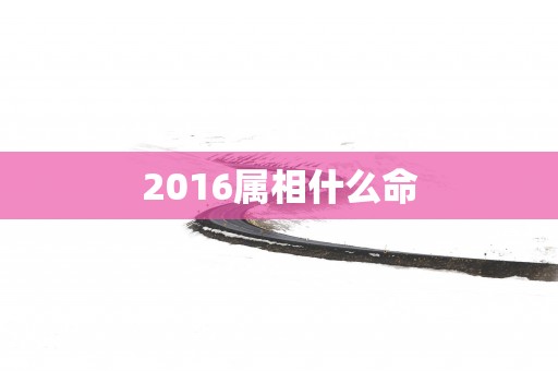 2016属相什么命
