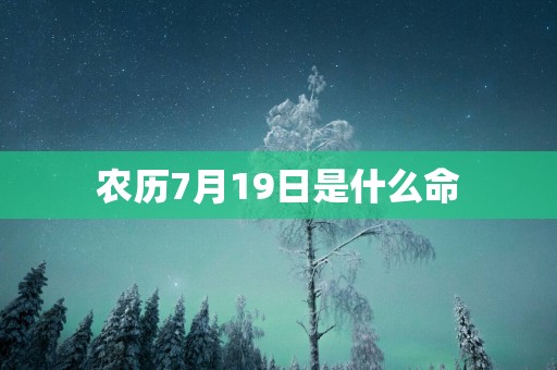 农历7月19日是什么命