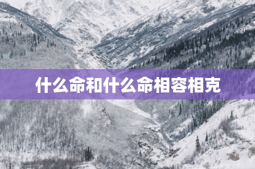 什么命和什么命相容相克