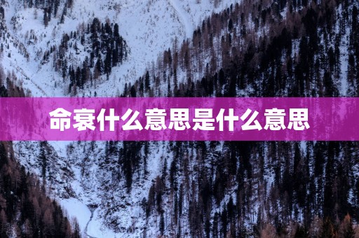 命衰什么意思是什么意思