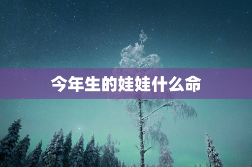 今年生的娃娃什么命