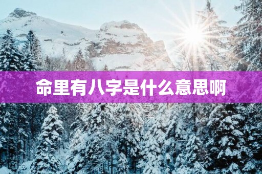 命里有八字是什么意思啊