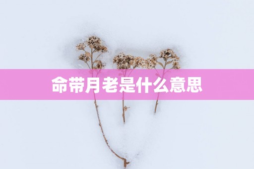 命带月老是什么意思