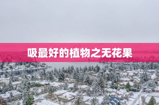 吸最好的植物之无花果